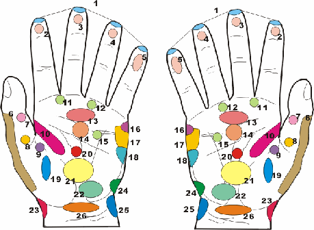 手及腳的穴道圖示