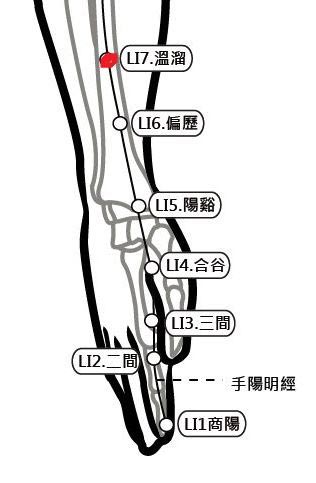 穴位保健─溫溜穴（口腔發炎難吞嚥）_圖1