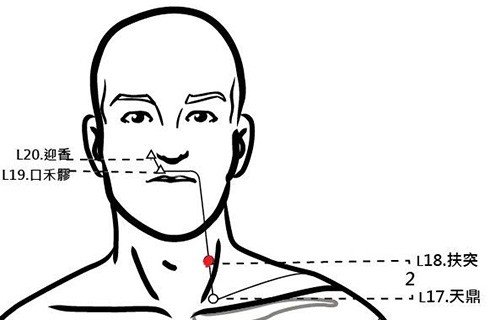 穴位保健─扶突穴（咳嗽咽喉腫）