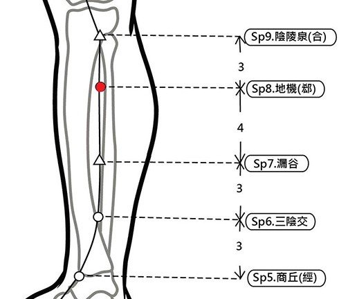 穴位保健─地機穴（調血糖除經痛）