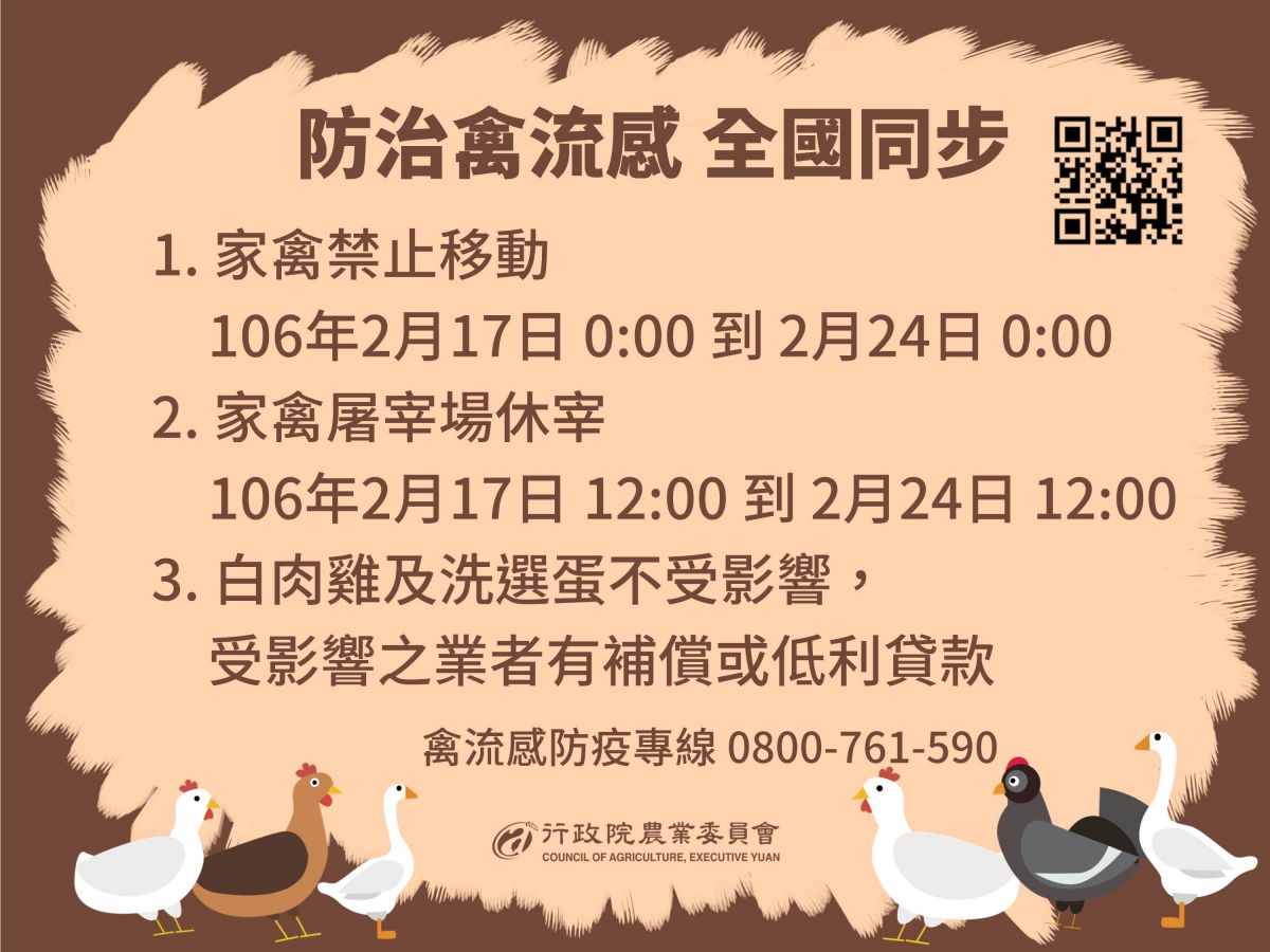 雞蛋、雞肉不能吃？如何正確預防禽流感_圖4