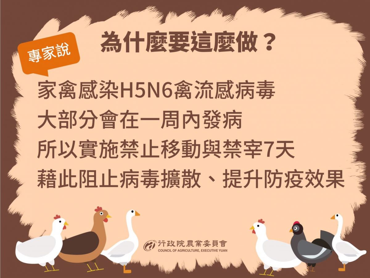 雞蛋、雞肉不能吃？如何正確預防禽流感_圖5