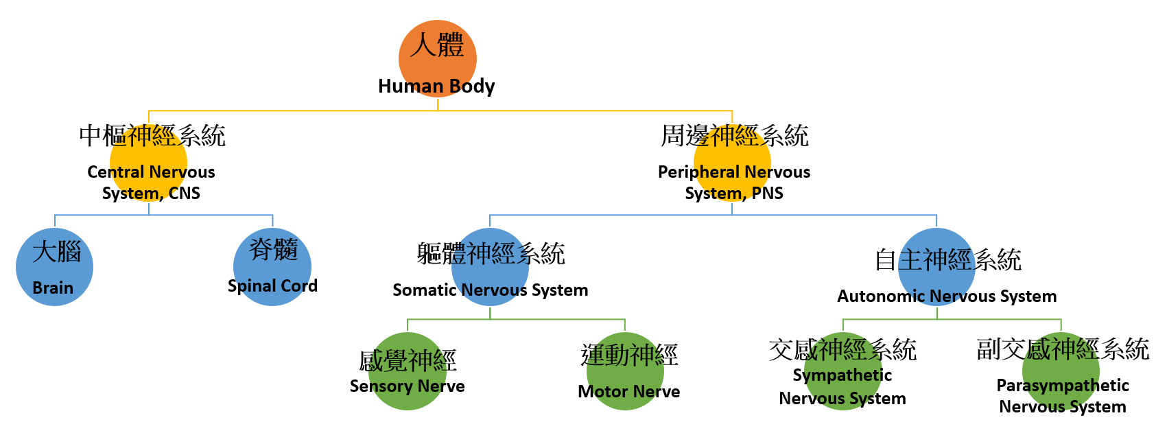 Why？小朋友生病時，每到晚上狀況多！！