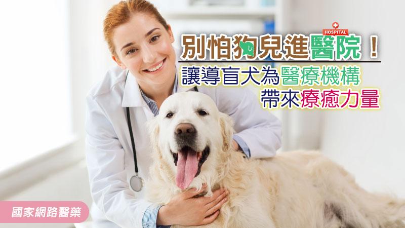 別怕狗兒進醫院！讓導盲犬為醫療機構帶來療癒力量_圖1