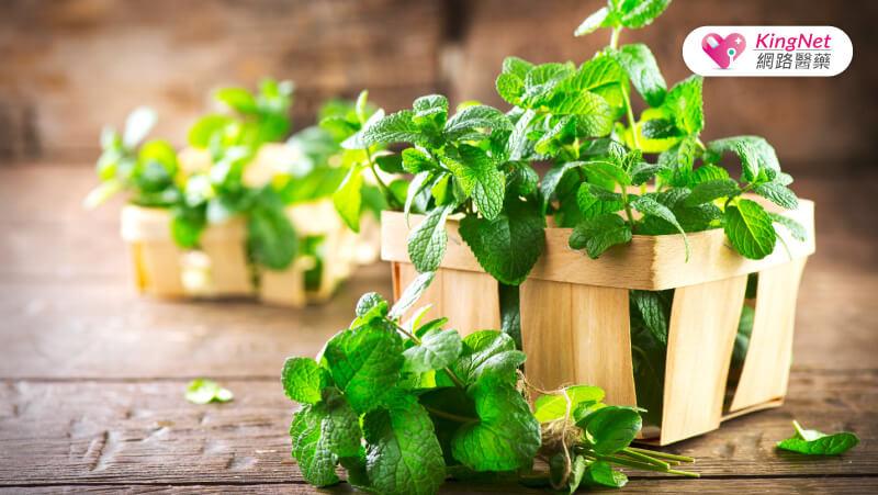 居家防護不求人,跟日本人學健康花草生活!療癒身心的3大西洋花草良方_圖3 居家防護不求人,跟日本人學健康花草生活!療癒身心的3大西洋花草良方_圖3