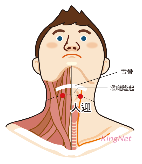 人迎穴(天五會)穴位 人迎穴(天五會)穴位