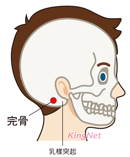 完骨穴穴位 完骨穴穴位