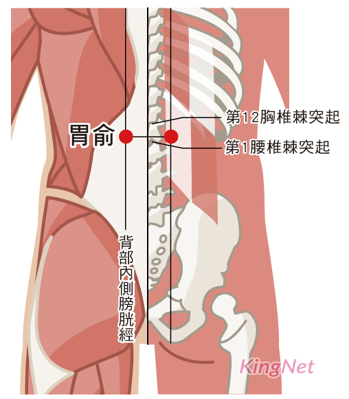 胃俞穴穴位 胃俞穴穴位