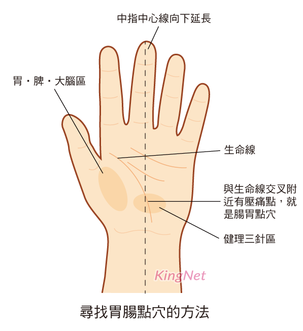 胃腸點穴穴位 胃腸點穴穴位