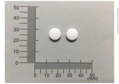 GASMIN TABLETS "F.Y." "福元" 瓦斯敏錠