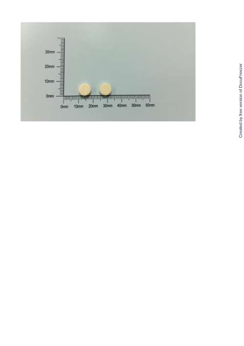 BUCLIZINE TABLETS "P.J." 敏治芬錠（布克利啶）