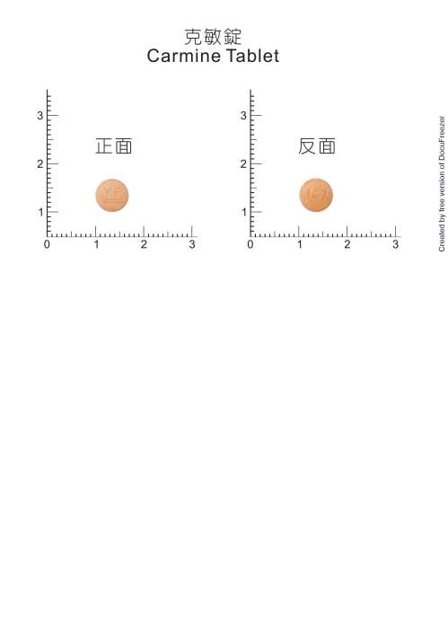 CARMINE TABLETS "Y.Y." "應元" 克敏錠