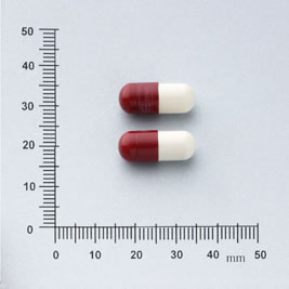 STERONE CAPSULES "ERNE" 斯壯膠囊