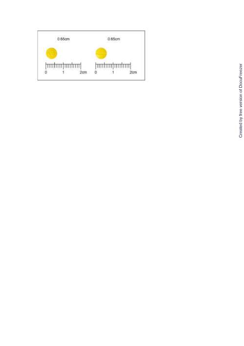 SINGEN F.C.TABLETS 40MG (VERAPAMIL) "KOJAR" "國嘉"心健膜衣錠40毫克（唯律脈必利）