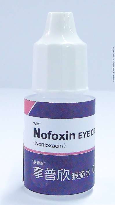 麥迪森 拿普欣眼藥水0 3 Nofoxin Eye Drops 0 3 Medicine Norfloxacin 藥品 物 適應症查詢 網路藥典 Kingnet國家網路醫藥 Second Opinion