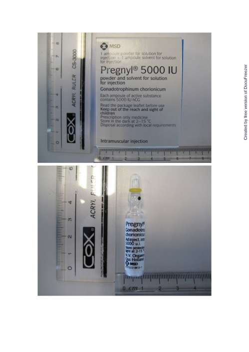 PREGNYL INJECTION 5000I.U. 保健寧注射劑５０００國際單位