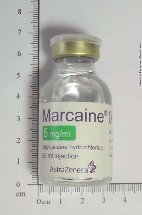 MARCAINE INJECTION 0.5% 麻佳因注射液０．５％