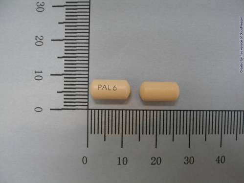 INVEGA Extended Release Tablets 6mg 思維佳持續性藥效錠6毫克