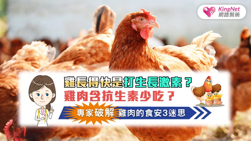 雞長得快是打生長激素？雞肉含抗生素少吃？專家破解雞肉的食安3迷思_圖1