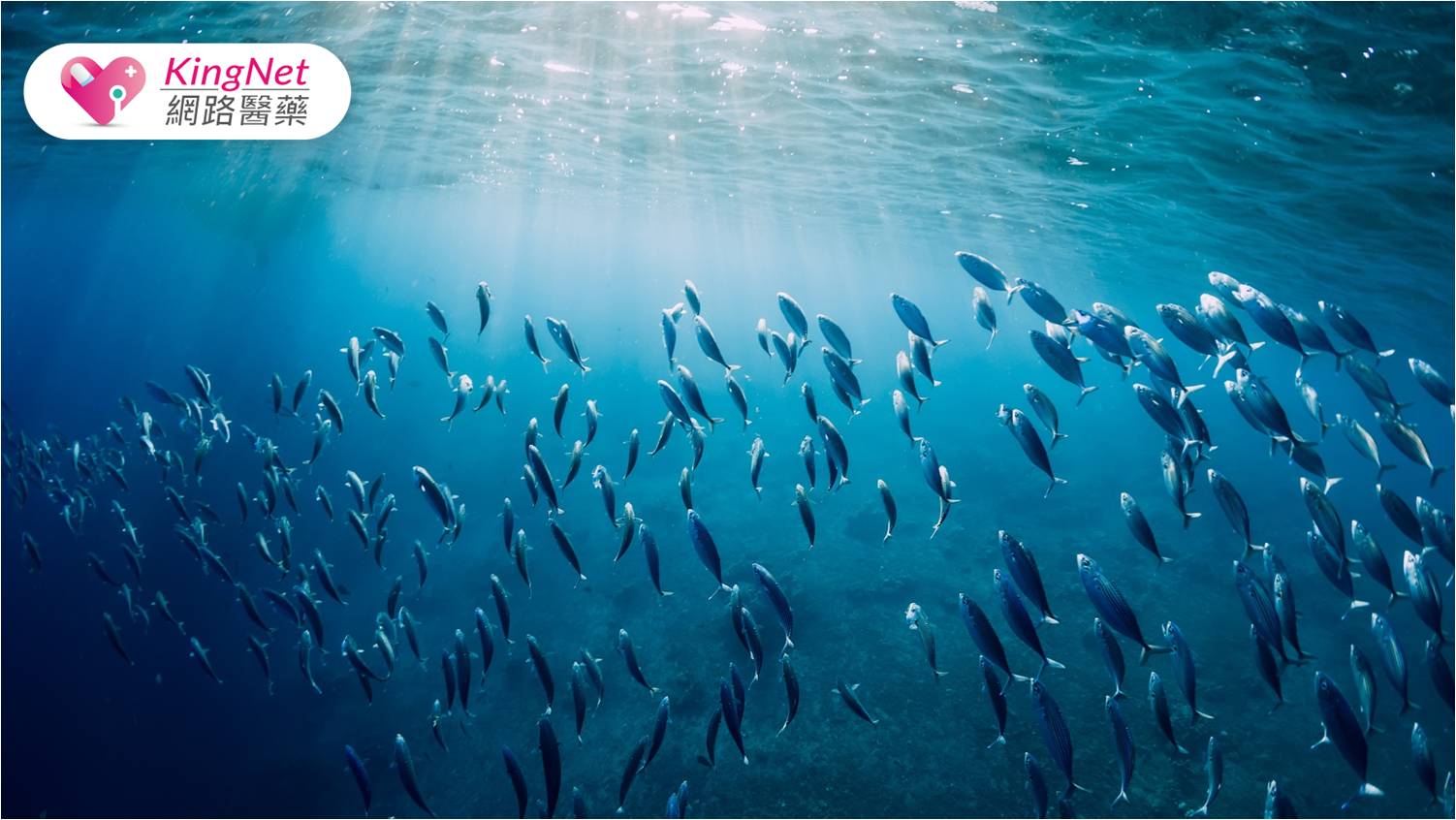 大海中的藻類能取代動物性營養來源？營養界掀起「藍色革命」，為生態效益帶來正面發展 