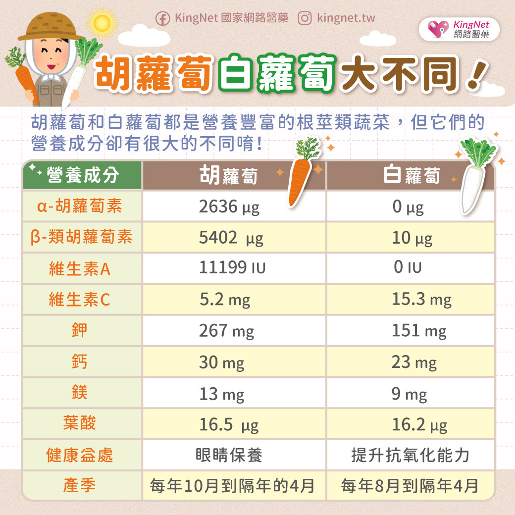 胡蘿蔔白蘿蔔大不同！